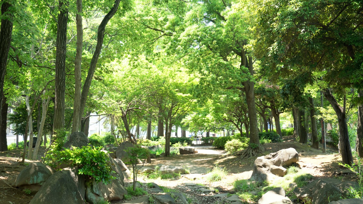 南流山中央公園