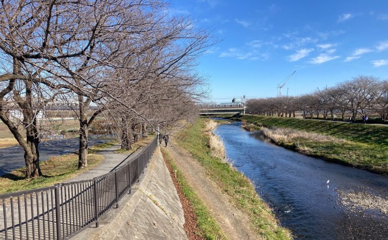 埼玉県「朝霞市」での子育て体験談！10年以上住む主婦がリアルな子育て事情を紹介