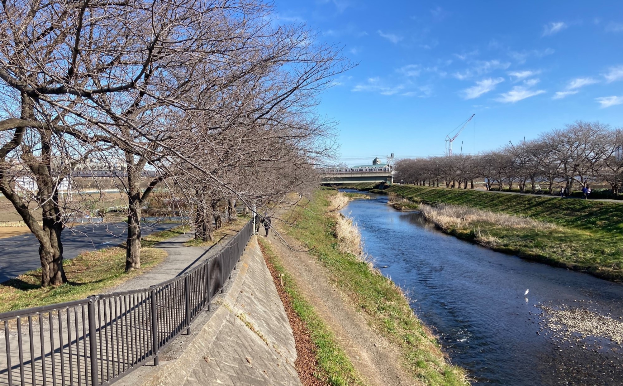 埼玉県「朝霞市」での子育て体験談！10年以上住む主婦がリアルな子育て事情を紹介