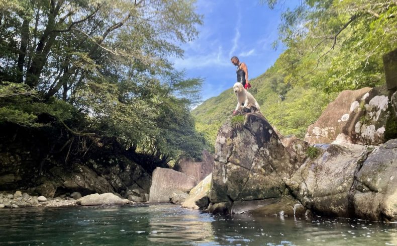 犬と川遊びを楽しもう！ 犬も飼い主も楽しい遊び方を紹介
