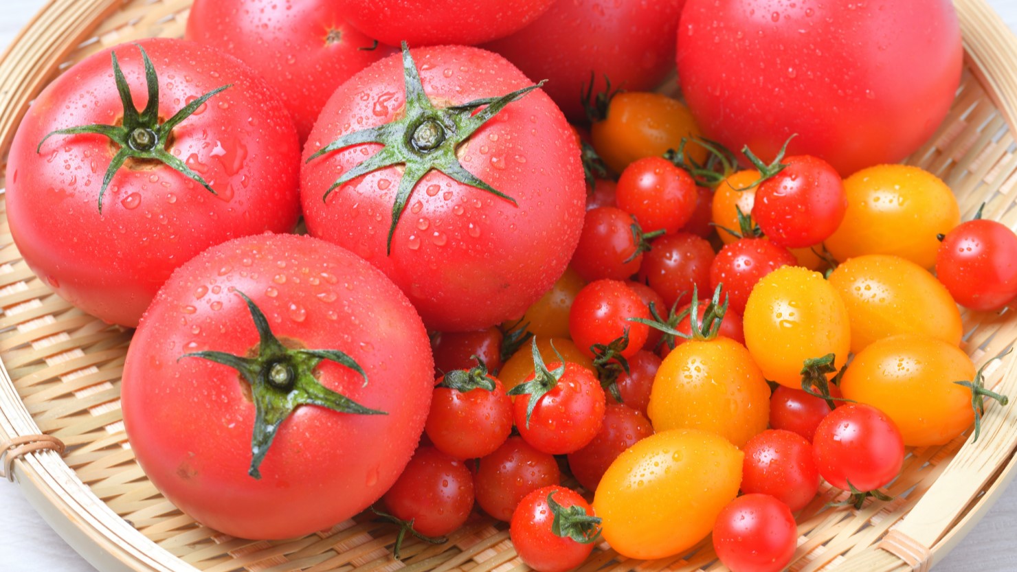 いろいろな種類のトマト