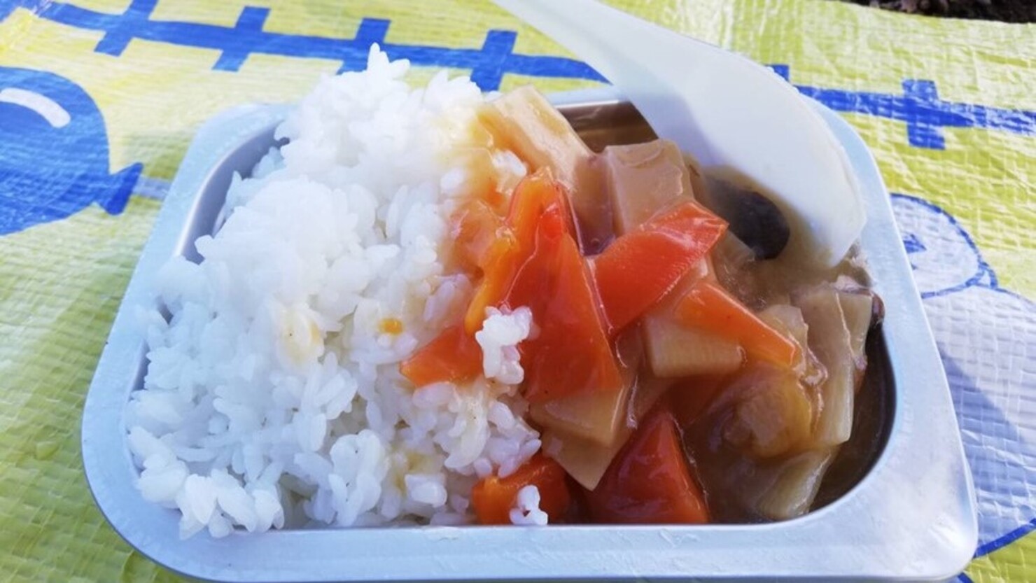 温かい中華丼の出来上がり　　© Satoko　Kamisawa