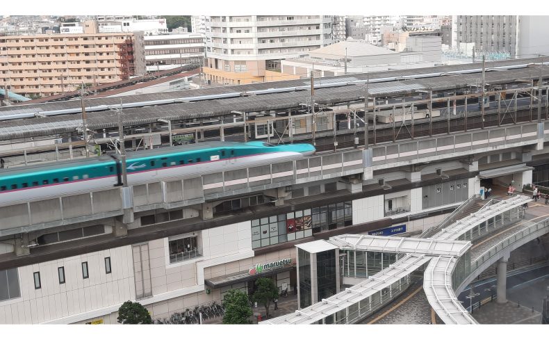 埼玉県さいたま市「武蔵浦和駅」周辺を散歩してみよう！地元民が紹介するおすすめ散歩スポット“7選”