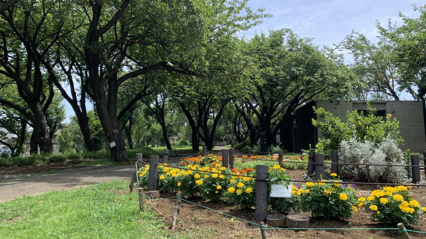 菊名駅周辺には自然豊かな公園も