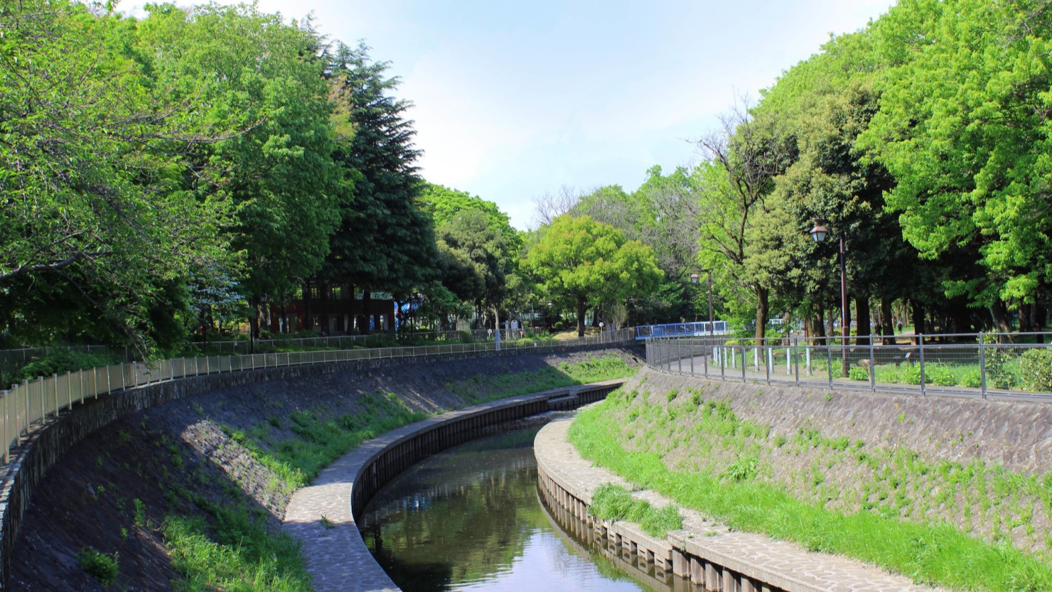 善福寺川沿い和田堀公園