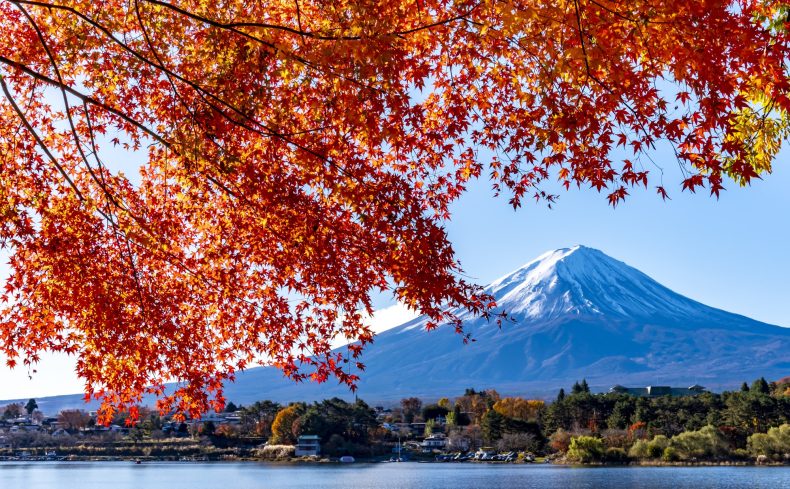 田舎暮らしは山梨が「ちょうどいい」！15年暮らす私がメリットとおすすめ地域を紹介