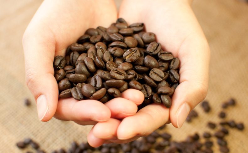 クオリティが高い京都のコーヒー焙煎所。毎日飲みたくなる味を求めて、お気に入りの豆を探しに行こう！