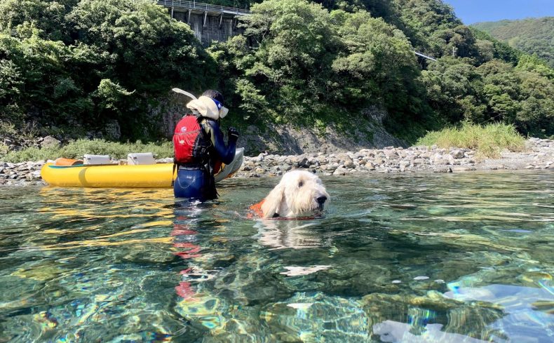 仁淀川（高知県）でカヌーを楽しもう！ ～第1回 犬と週末カヌーの体験記～