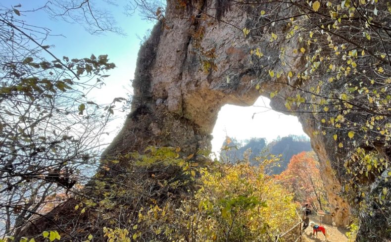妙義山（群馬県）に登ろう！ ～第1回 犬と週末登山の体験記～