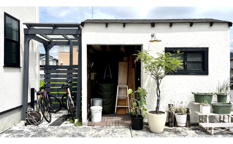 観葉植物「シマトネリコ」の育て方。地植えと鉢植えで5年育てた体験談