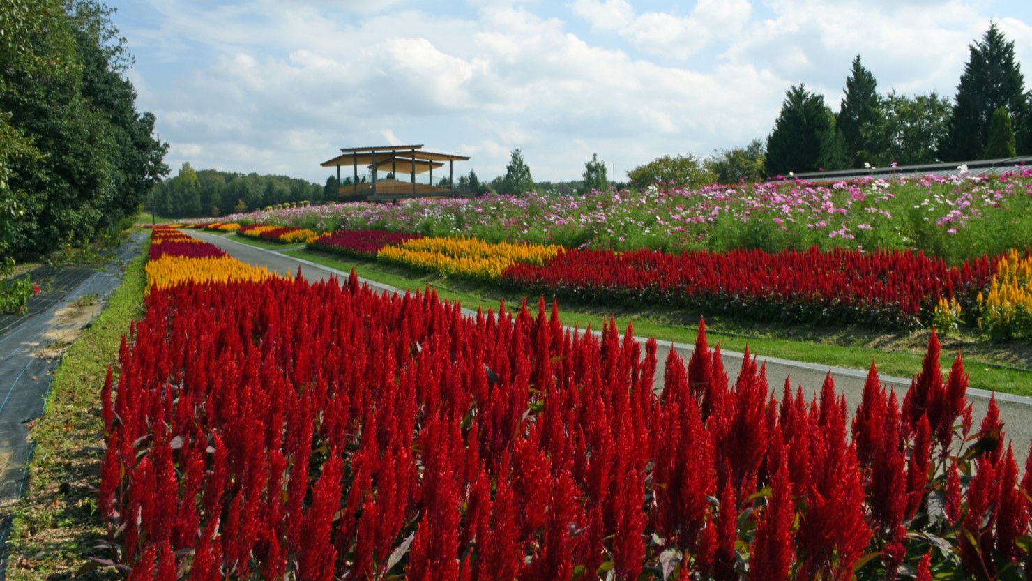 国営備北丘陵公園