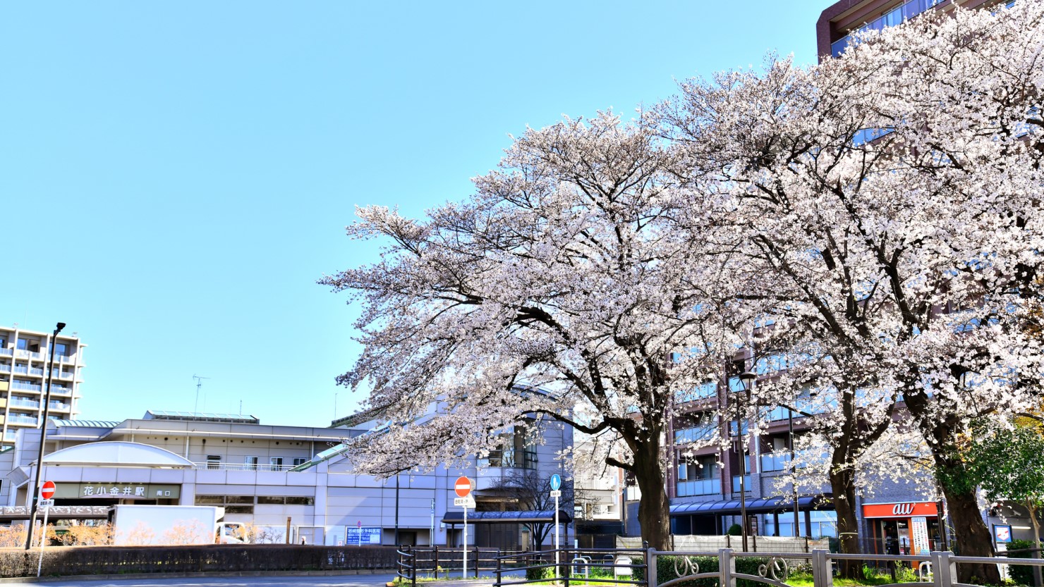 自然の豊かさも魅力の花小金井駅