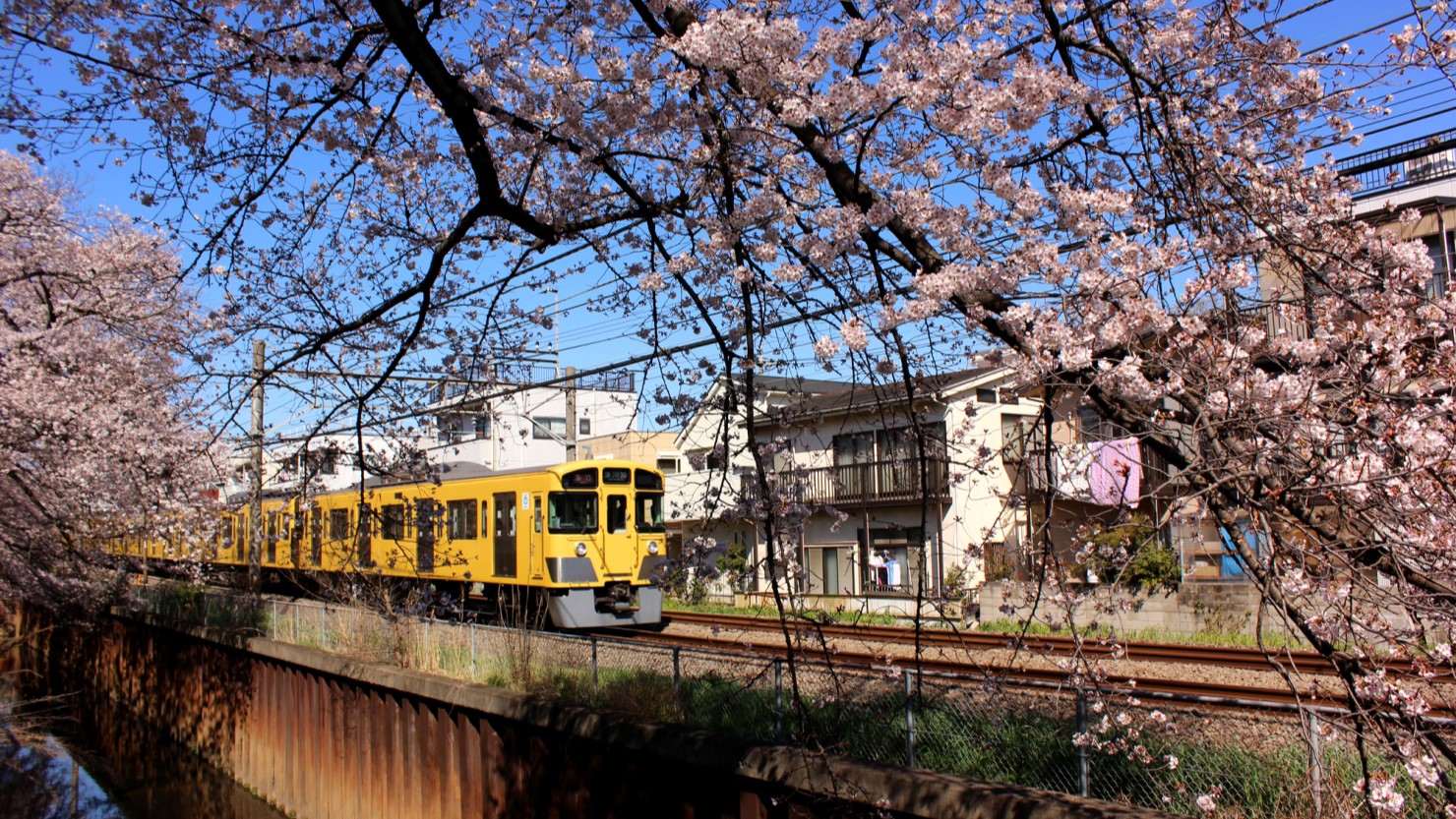 武蔵関駅周辺には閑静な住宅街が続く