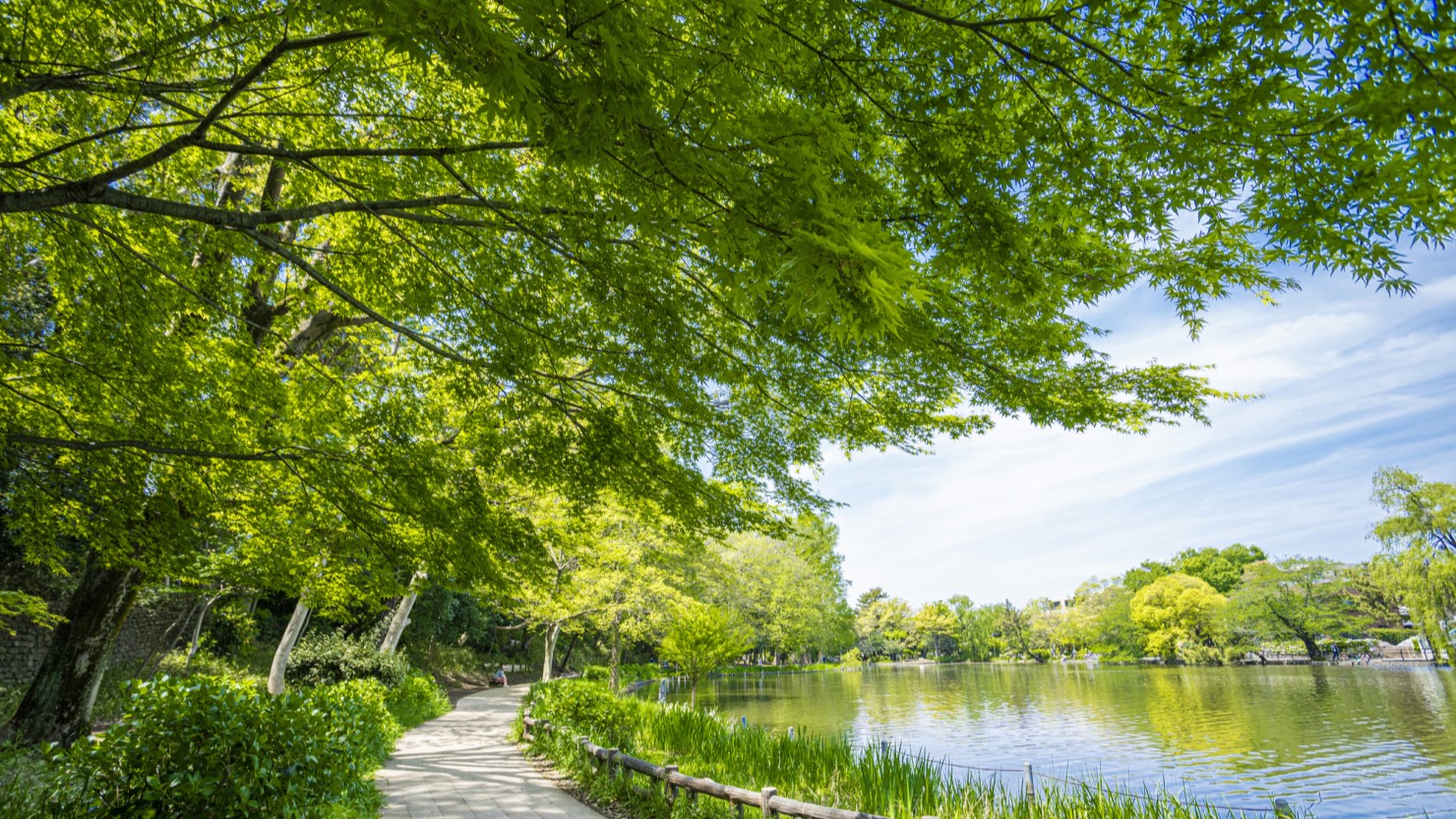 豊かな自然が残る石神井公園が魅力