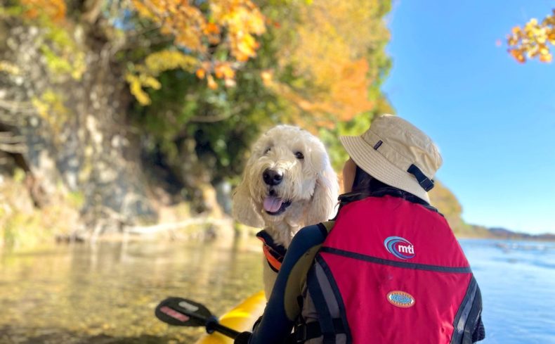 鬼怒川（栃木県）でカヌーを楽しもう！～第2回 犬と週末カヌーの体験記～