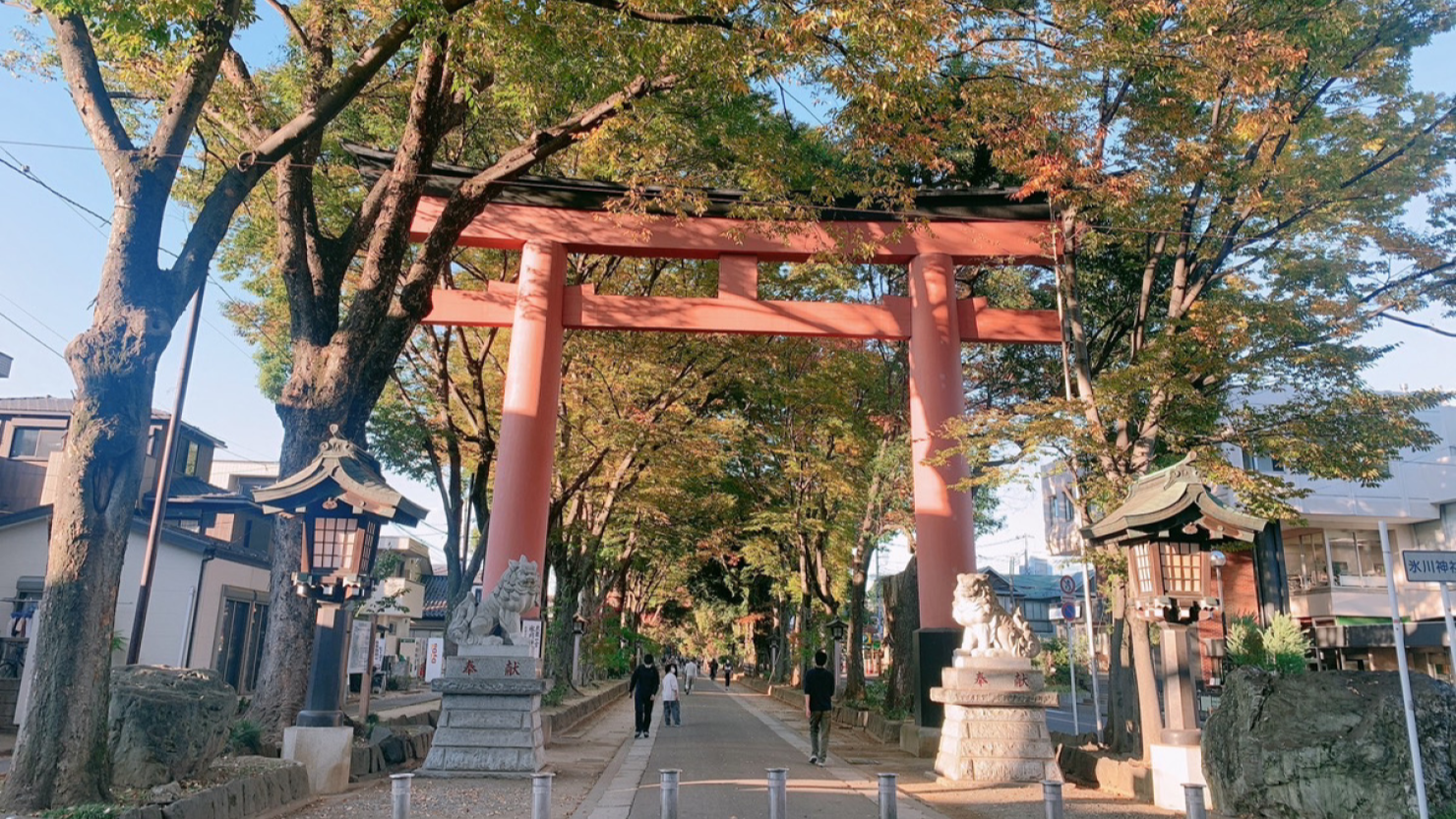氷川神社（参道）