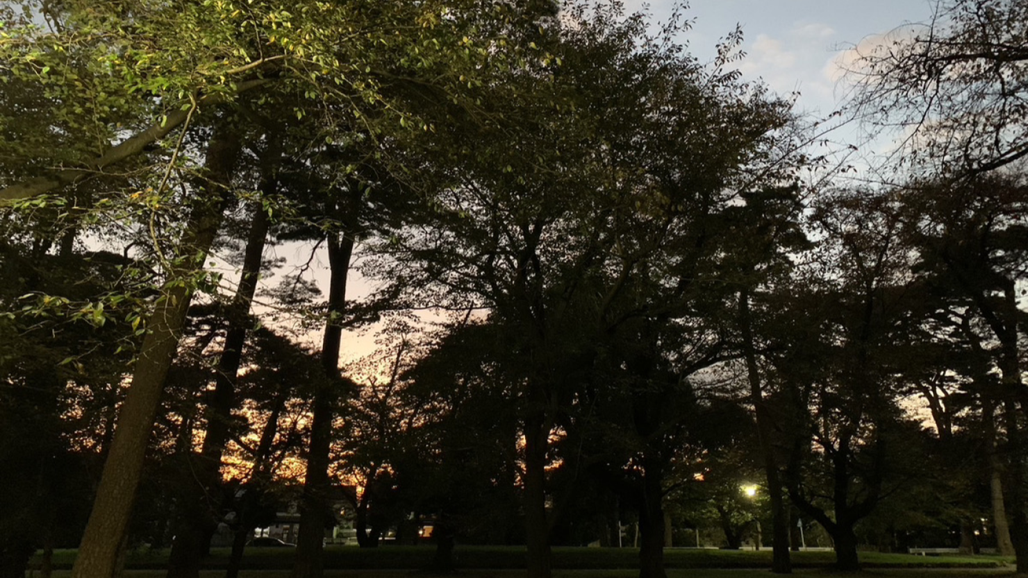 夕方の大宮公園