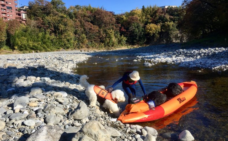 多摩川（東京都）でカヌーを楽しもう！～第3回 犬と週末カヌーの体験記～