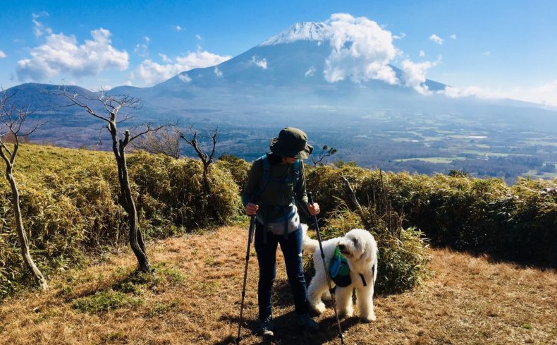 竜ヶ岳（山梨県・静岡県）に登ろう！ ～第3回 犬と週末登山の体験記～
