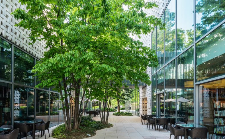 東京都「代官山駅」周辺のおすすめ散歩スポットは？雑貨屋からカフェまで幅広く紹介します