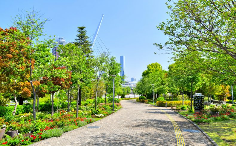 東京都「江東区」は伝統と新しさを感じる街！3年暮らして感じた住みやすさ