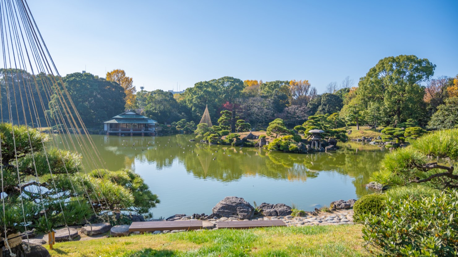 東京都江東区清澄庭園大泉水