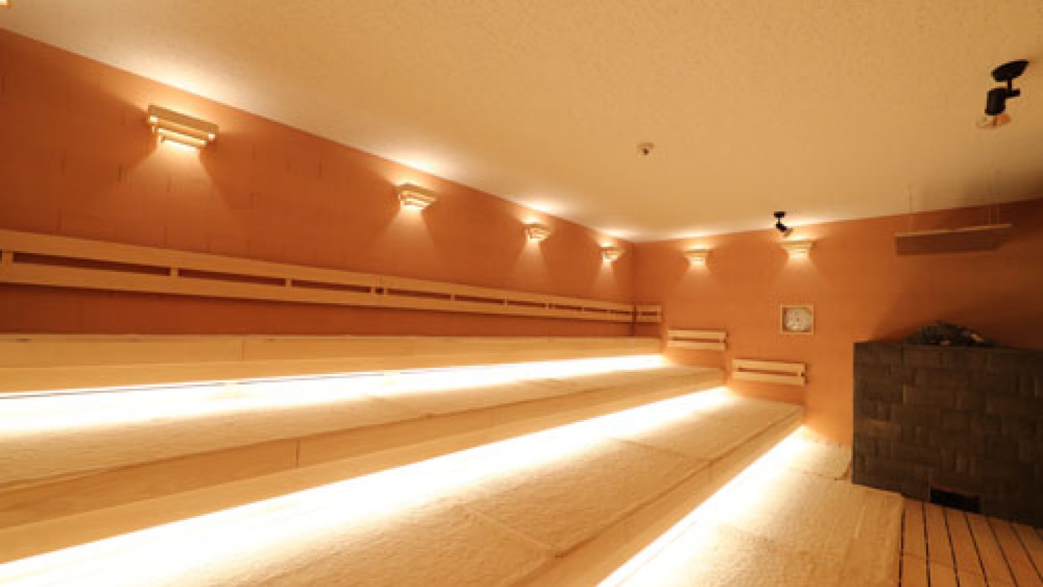 サウナイーグル