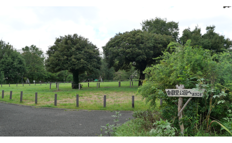 東京都「中目黒駅」周辺を散歩しよう！おすすめ散歩スポット❝12選❞
