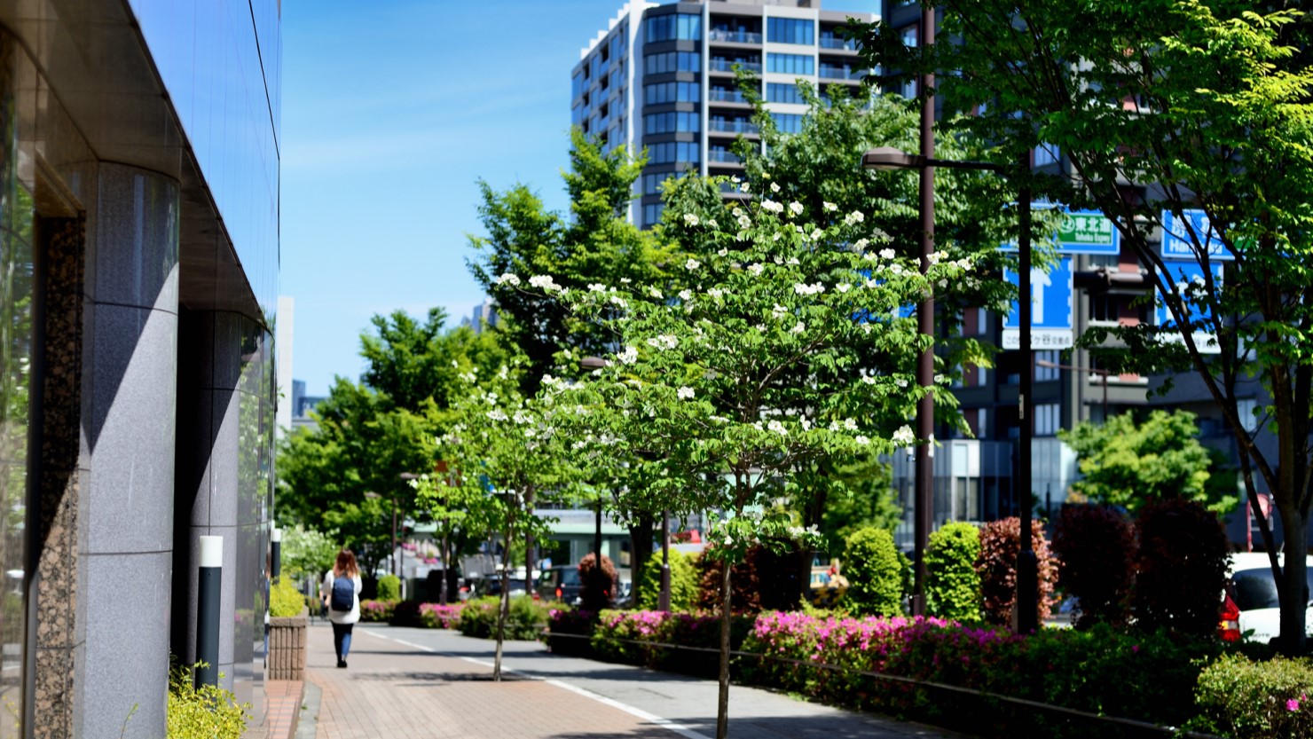 渋谷区の閑静な住宅街