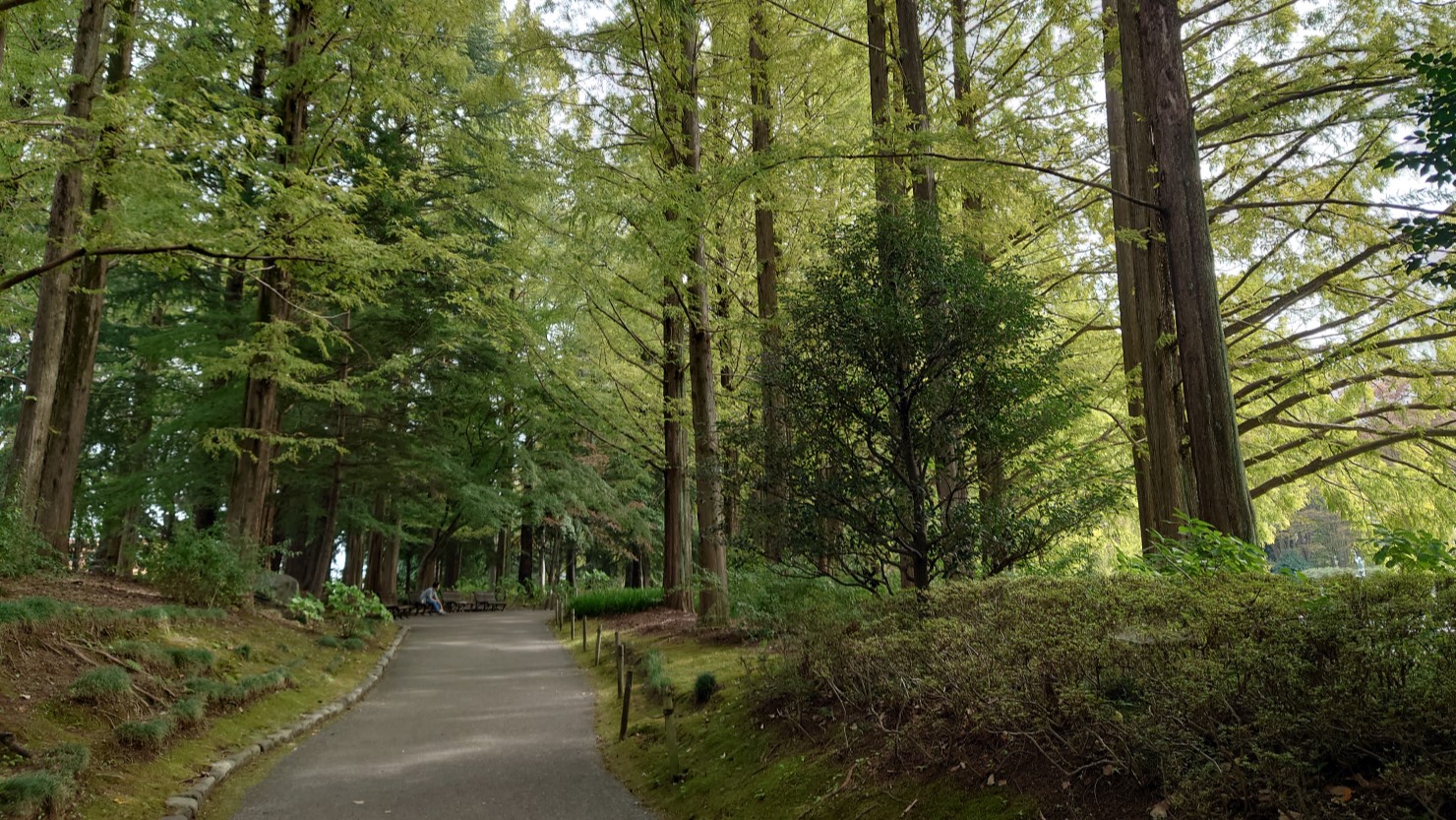 栃木県中央公園
