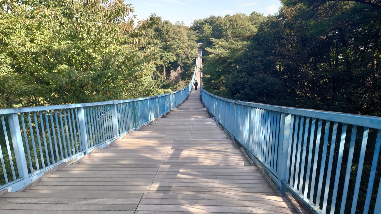 アドベンチャーブリッジ