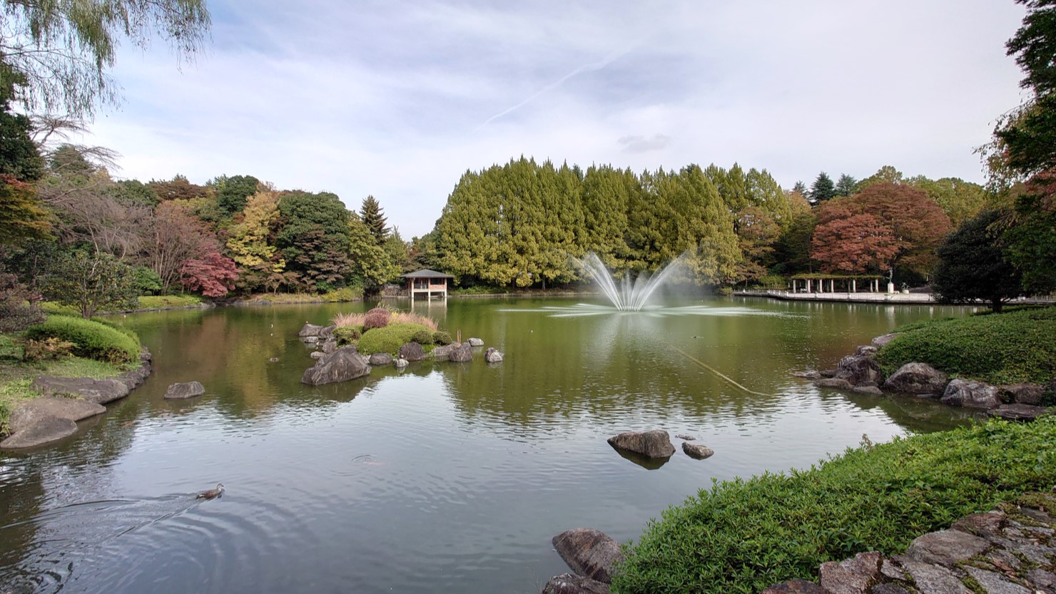 栃木県中央公園