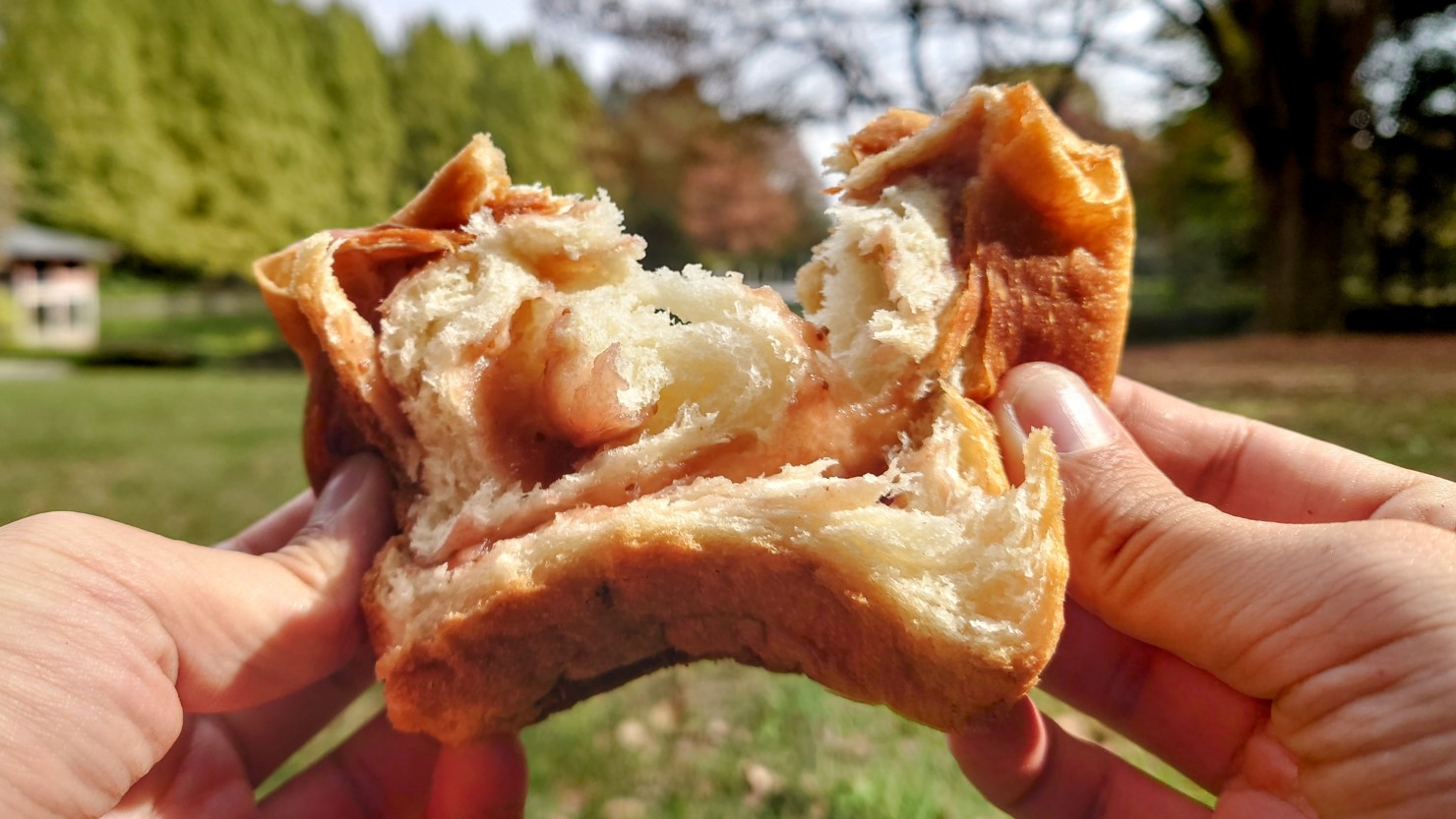 一番人気のとちおとめブレッド