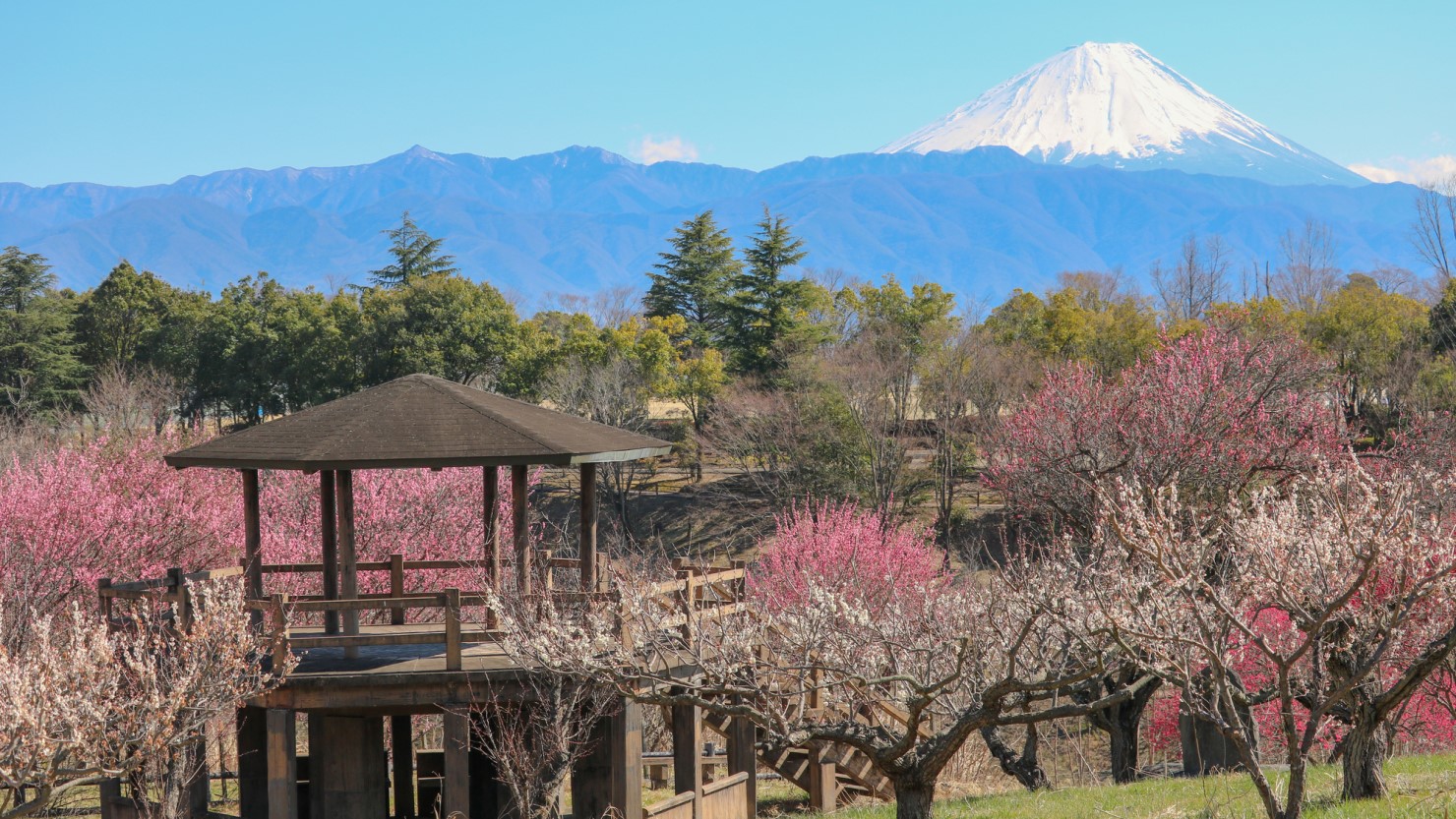 富士山が美しく見える場所としても人気