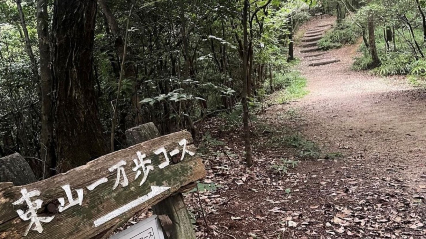 東山一万歩コース