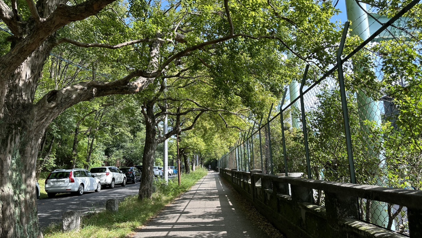 自然豊かな東山一万歩コース