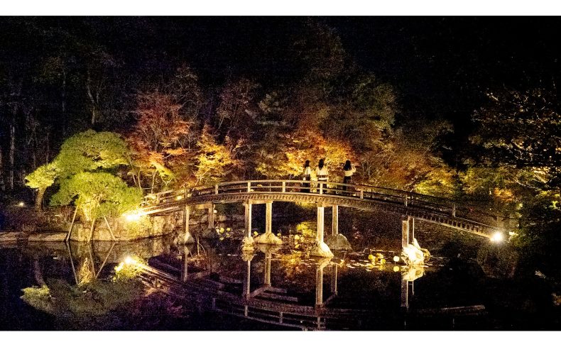 神勝寺 禅と庭のミュージアムは福山を代表する紅葉スポット！幻想的なライトアップも
