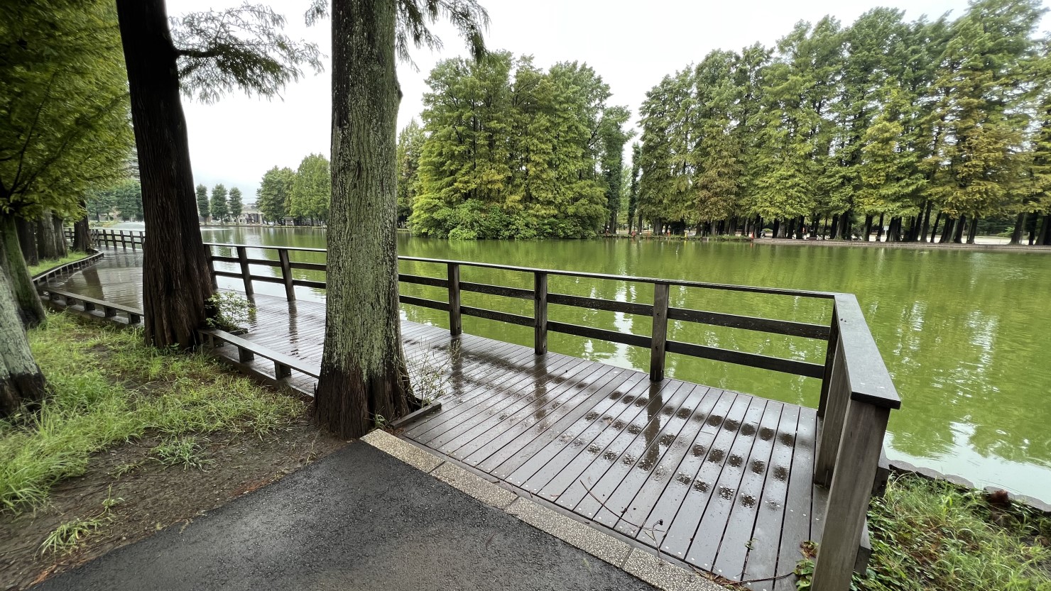 別所沼公園内のウッドデッキ