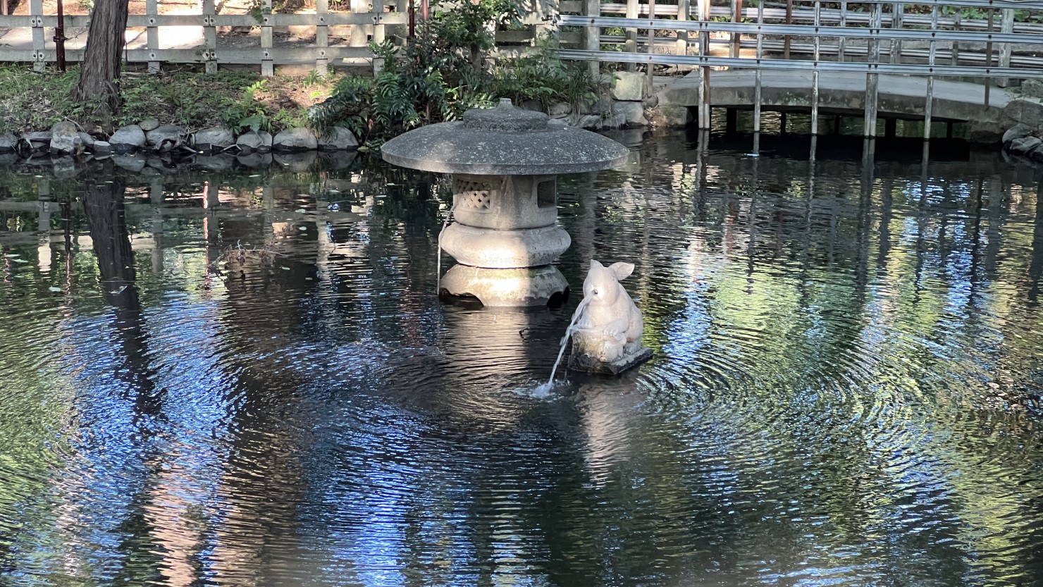 調神社のいたるところにいる兎(1)