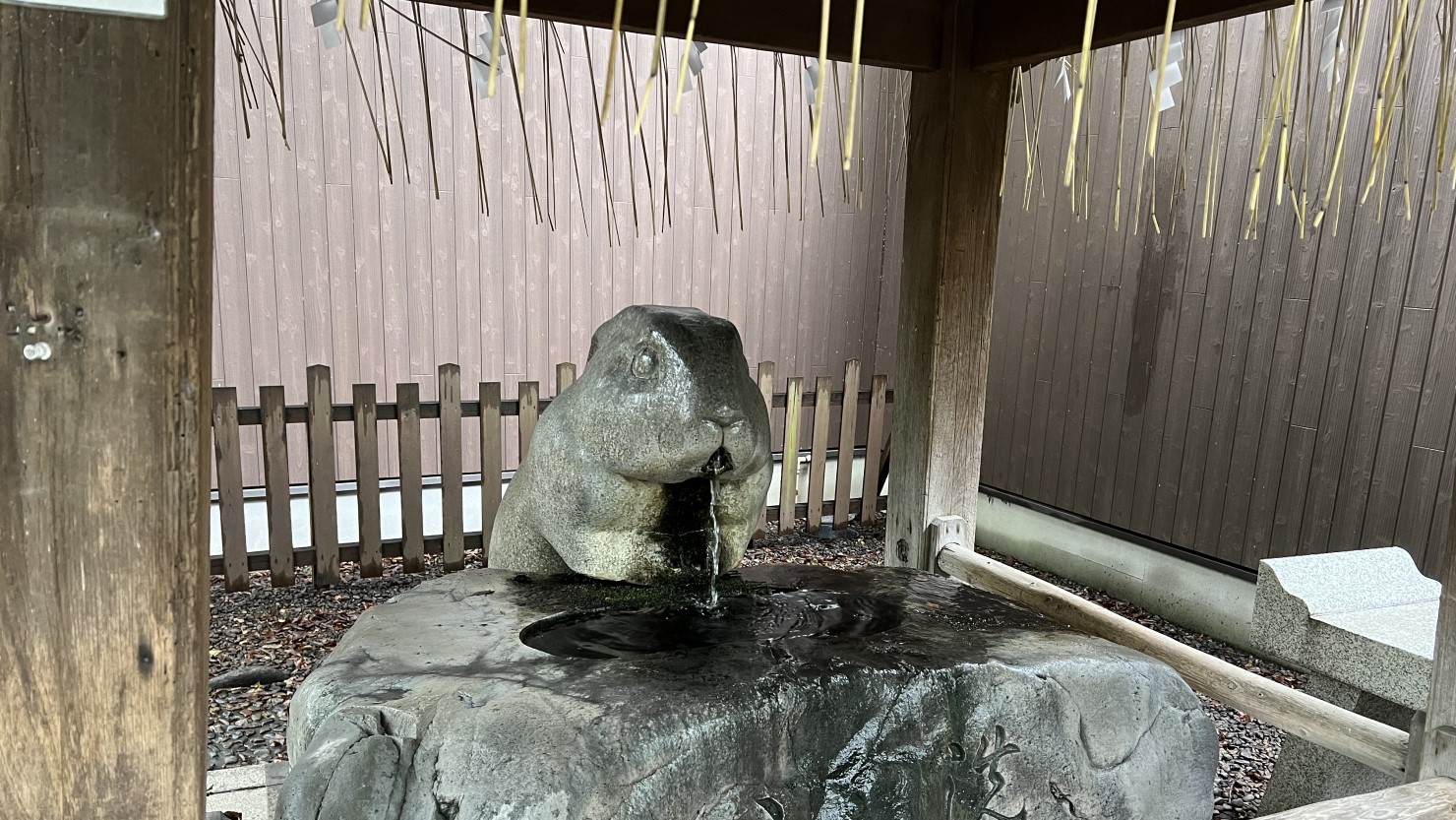 調神社のいたるところにいる兎(3)
