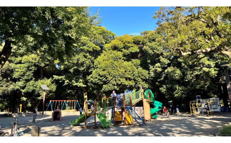 東京都「世田谷区」での子育て体験談！都心近くでも子育てをのびのびと楽しめる理由