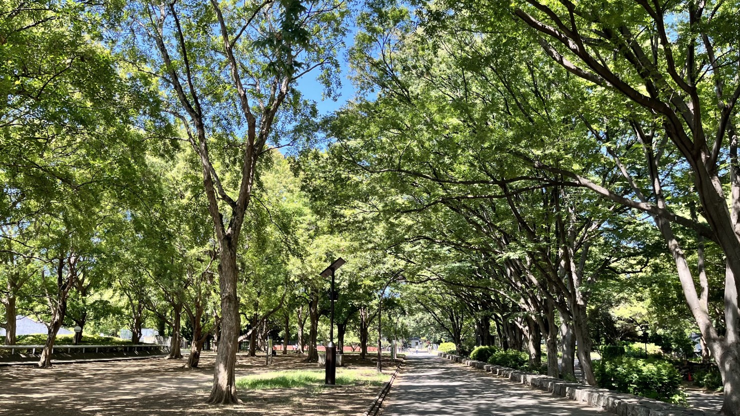 駒沢オリンピック公園