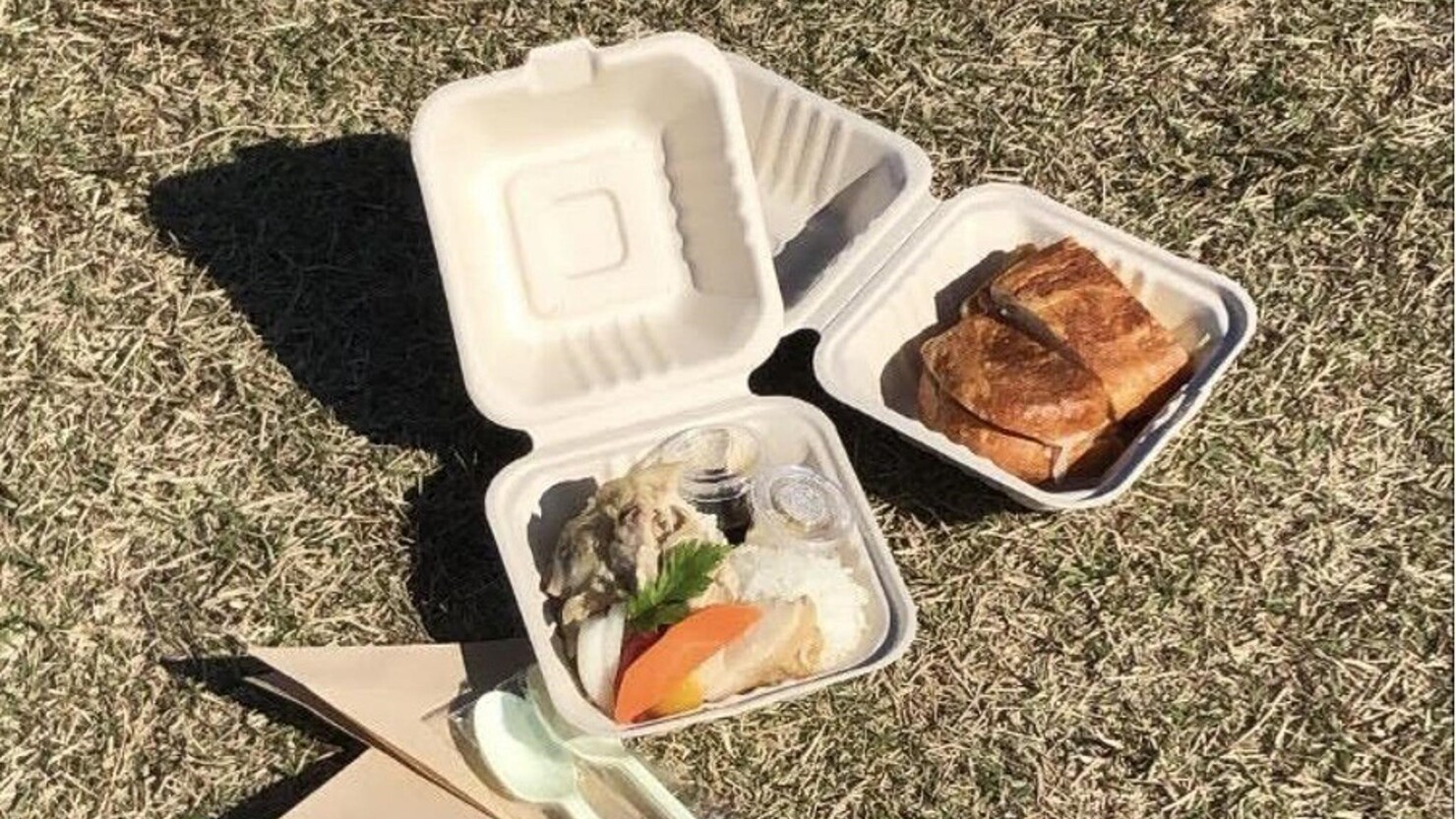 秋留台公園内の芝生でピクニックもお勧め　© 岸はつみ