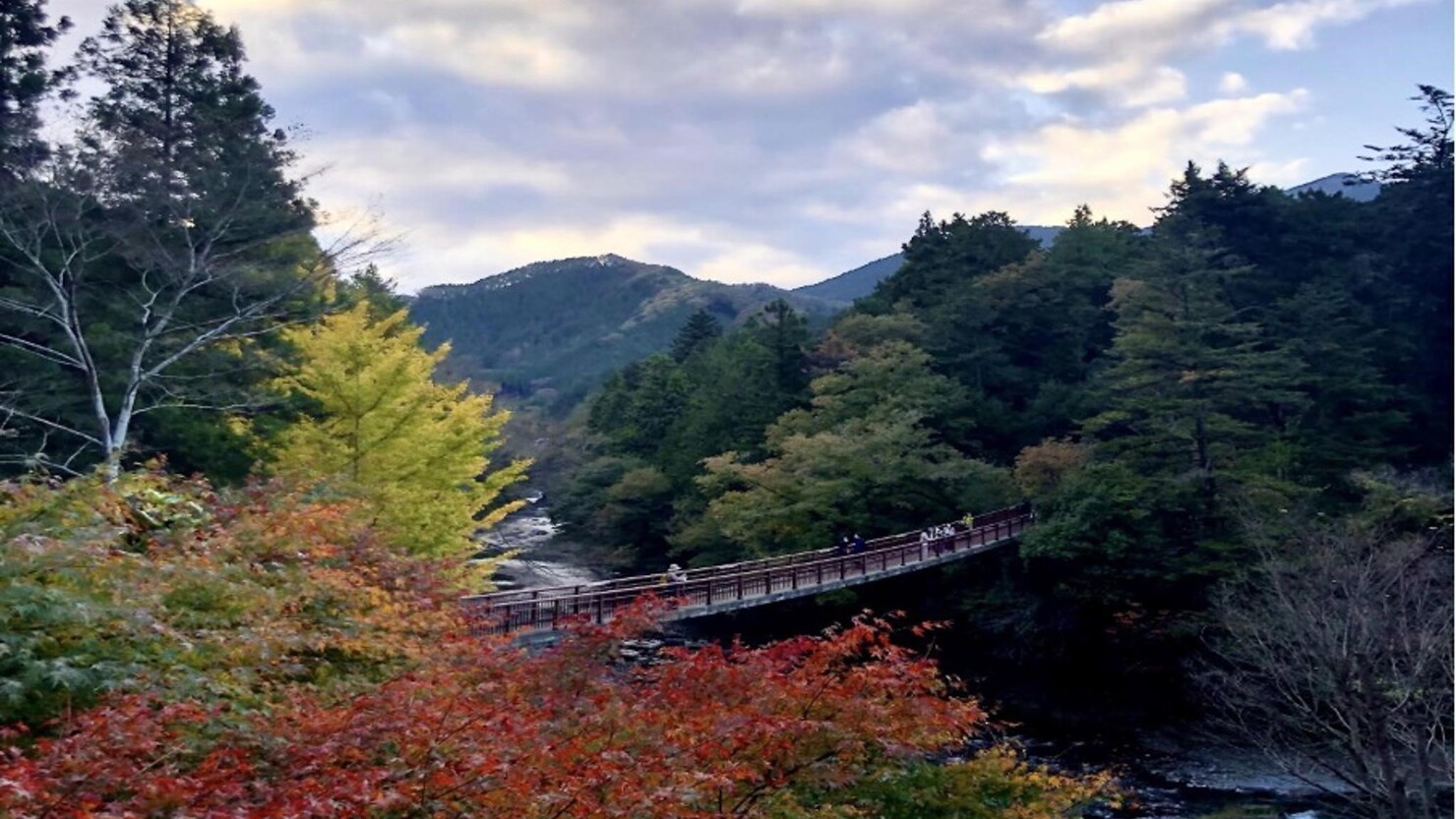 瀬音の湯敷地内から楽しめる紅葉　　　　　　　　　　　　　　© 岸はつみ