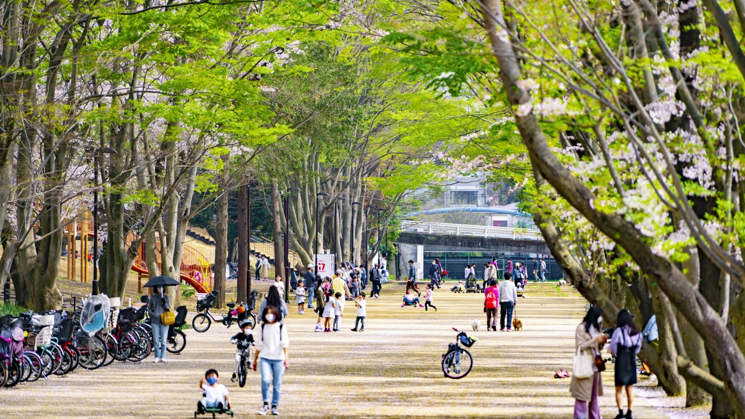 広大な自然スポット鶴間公園