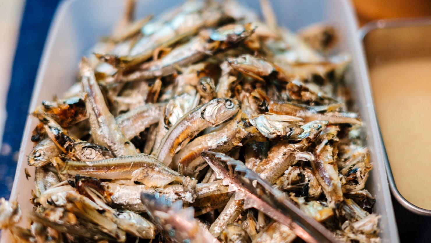 サービスでいりこの出汁ガラが置いてある