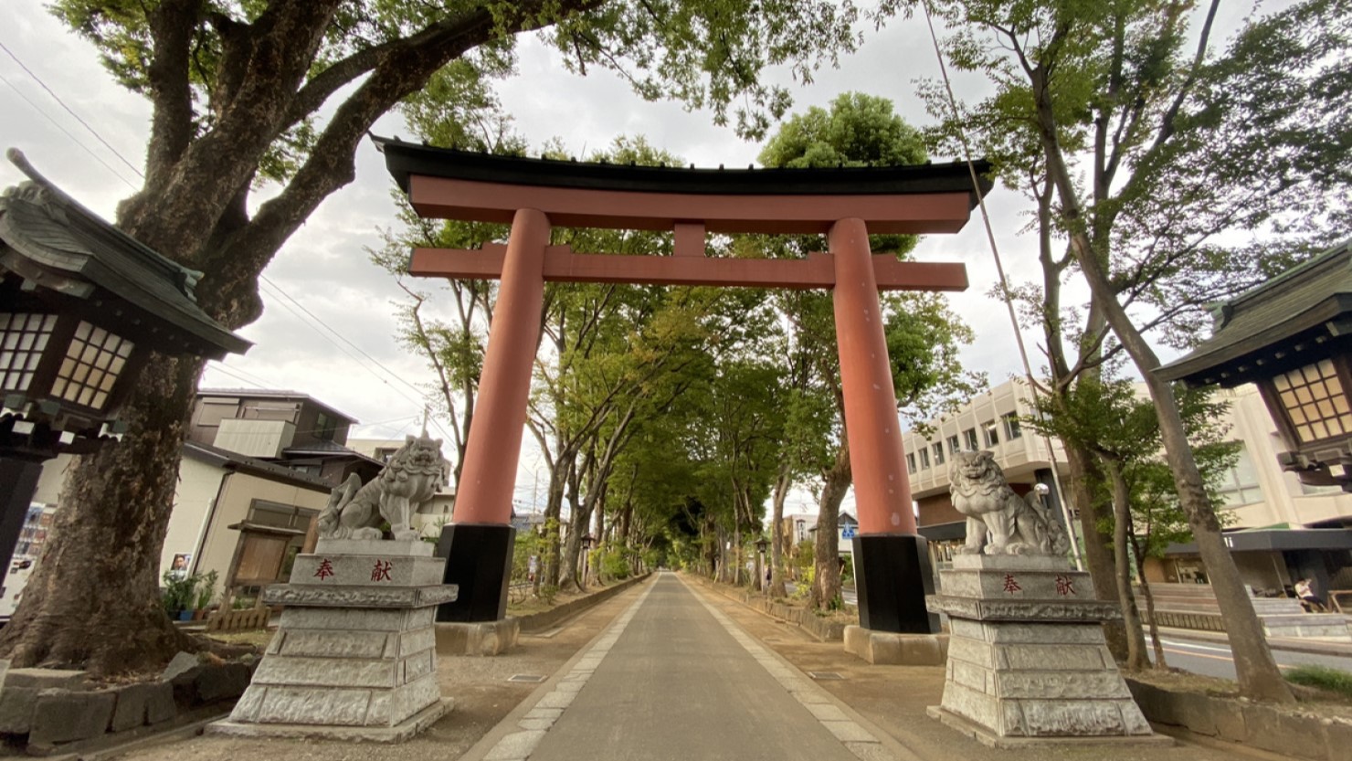 氷川神社へと続く参道