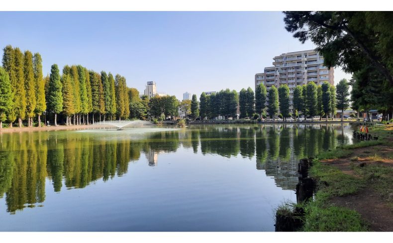 埼玉県さいたま市「南区」の住みやすさは？6年暮らす埼玉マニアが魅力や歴史を徹底解説