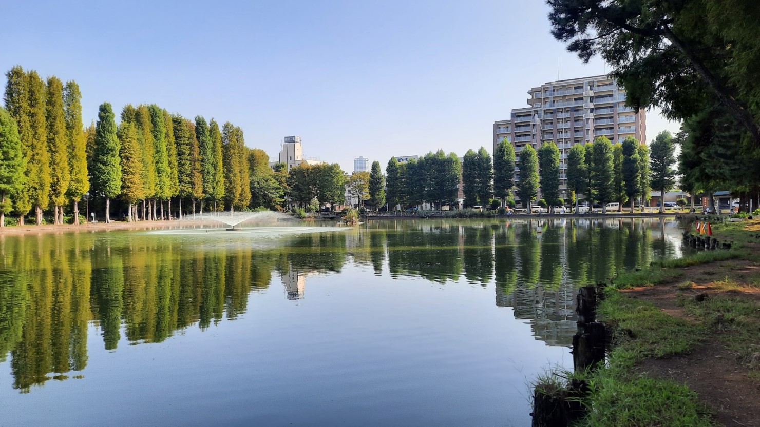 別所沼公園の噴水