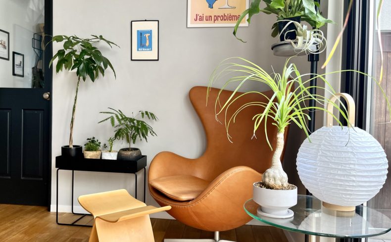 頑張らなくていい植物“トックリラン”。ユニークな魅力や育て方・飾り方を紹介